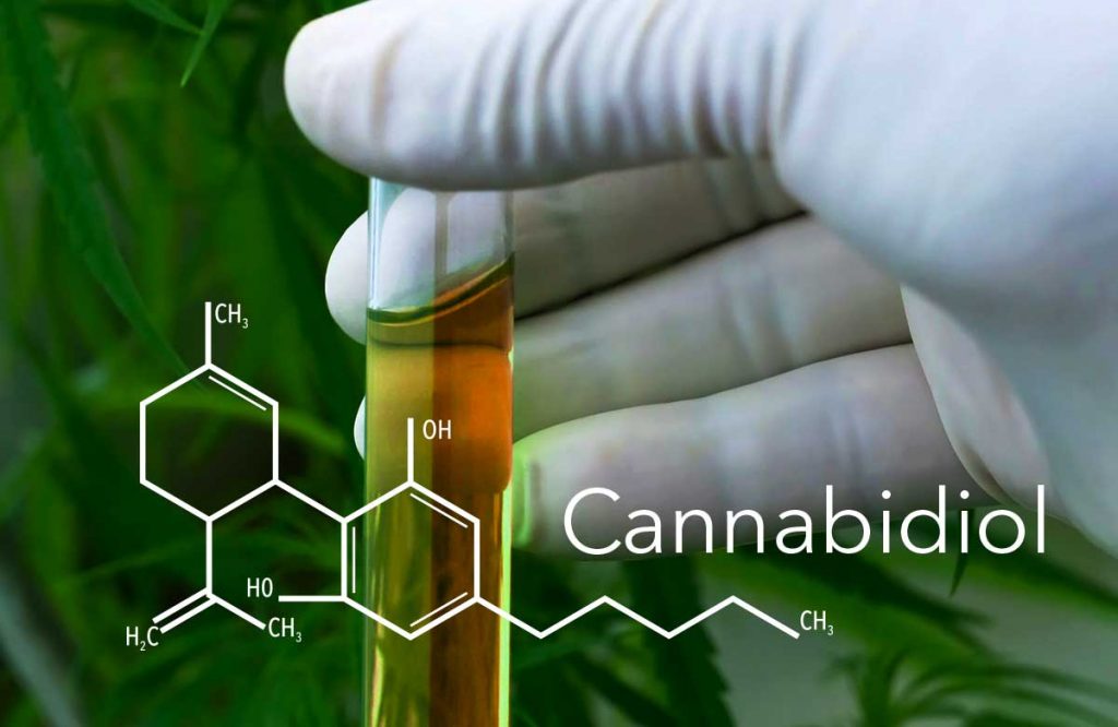 All You Need to Know Regarding Cannabidiol&nbsp;Oil